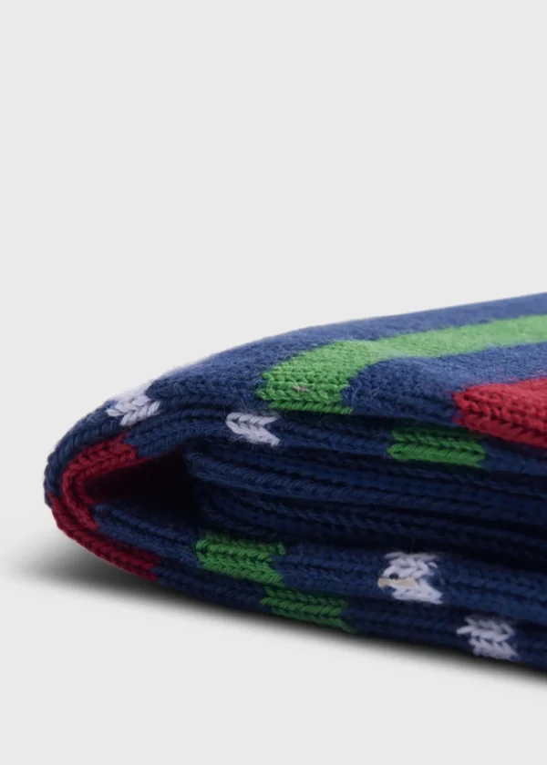 Cotton Variegated Multicolor Stripe Sock