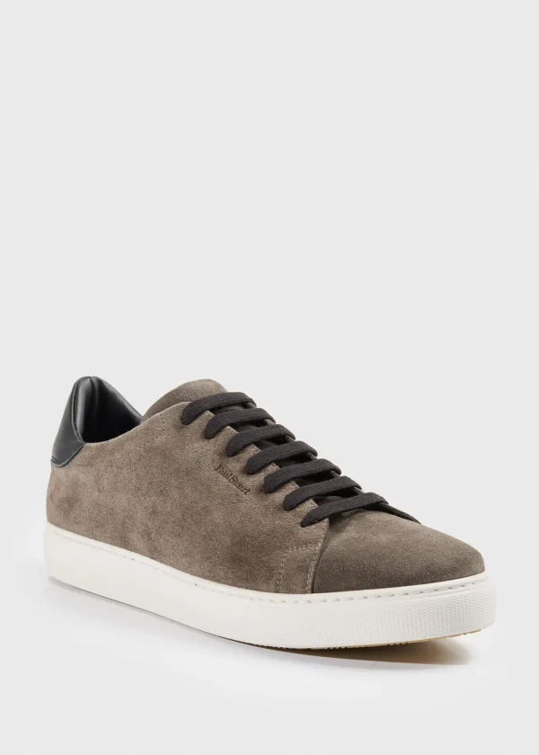 Pascal Suede Sneaker