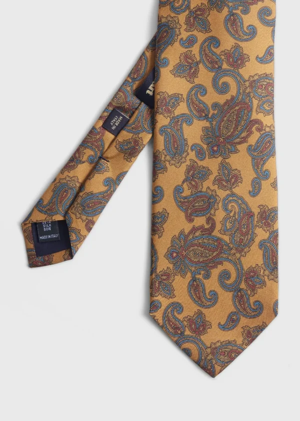 Silk Paisley Print Tie