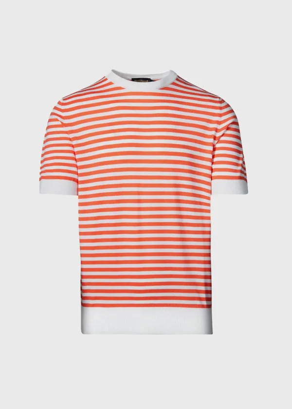 Stripe Knit Short Sleeve Crewneck